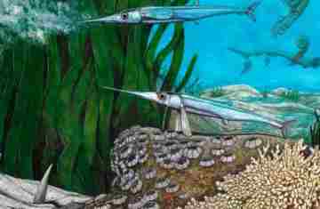  Cientistas brasileiros identificam nova espécie de peixe pré-histórico 